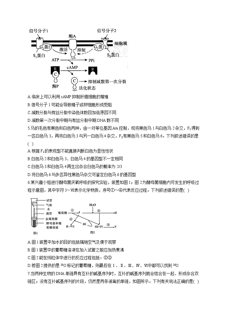 2022届新高考生物考前冲刺模拟卷 重庆专版02