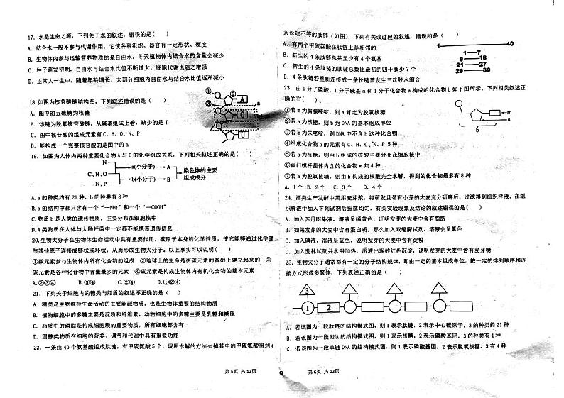 2022德州临邑县一中高一10月月考生物试题PDF版含答案第3页