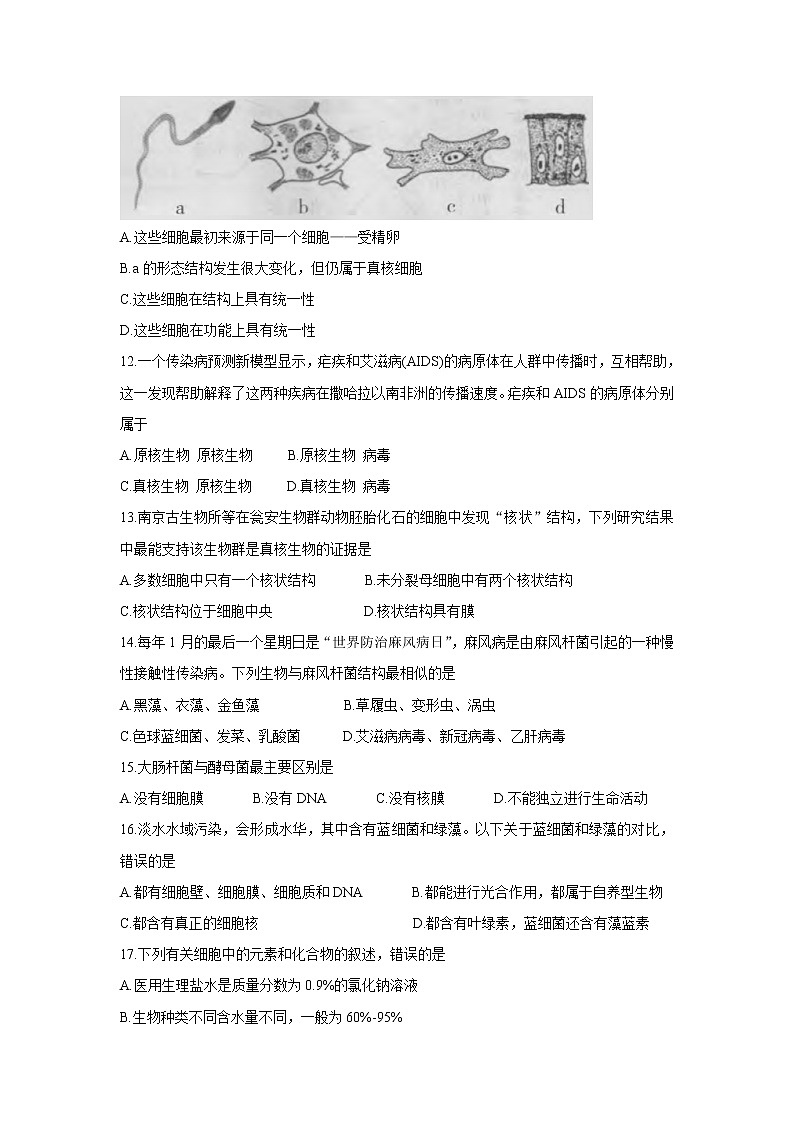 2022洛阳豫西名校高一上学期第一次联考生物含答案第3页