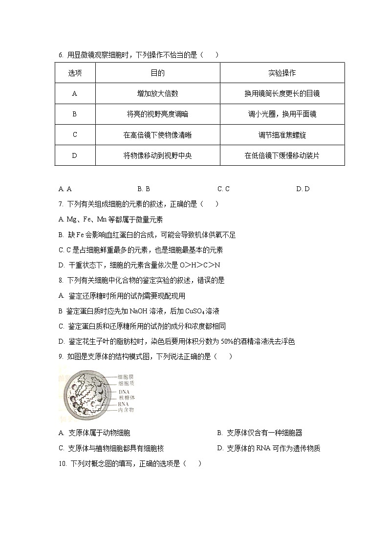 2022云南省永善县一中高一上学期9月月考生物试题含答案02