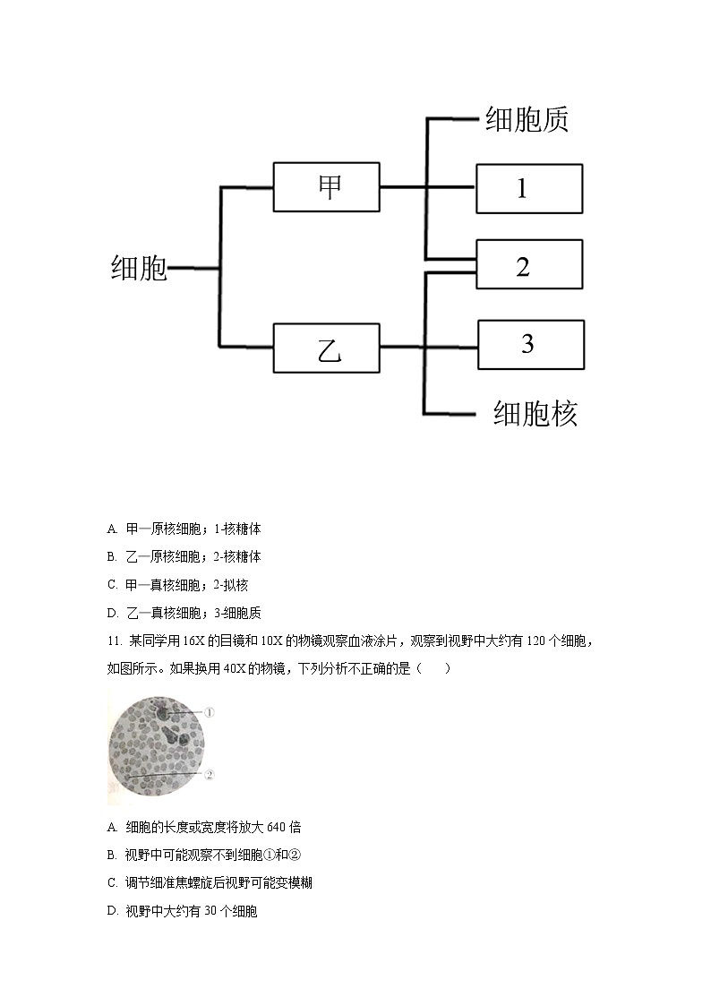 2022云南省永善县一中高一上学期9月月考生物试题含答案03