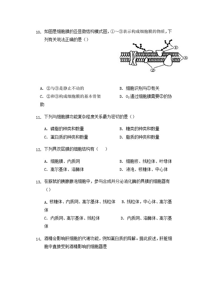 2022丽水外国语学校高中部高一上学期第一次月考（10月）生物试题含答案第3页