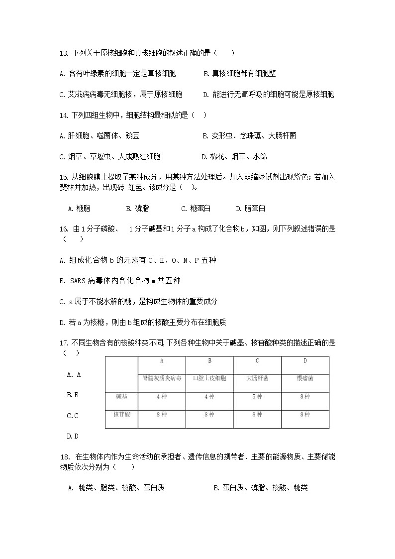2022长白朝鲜族自治县实验中学高一上学期第一次月考生物试题缺答案第3页