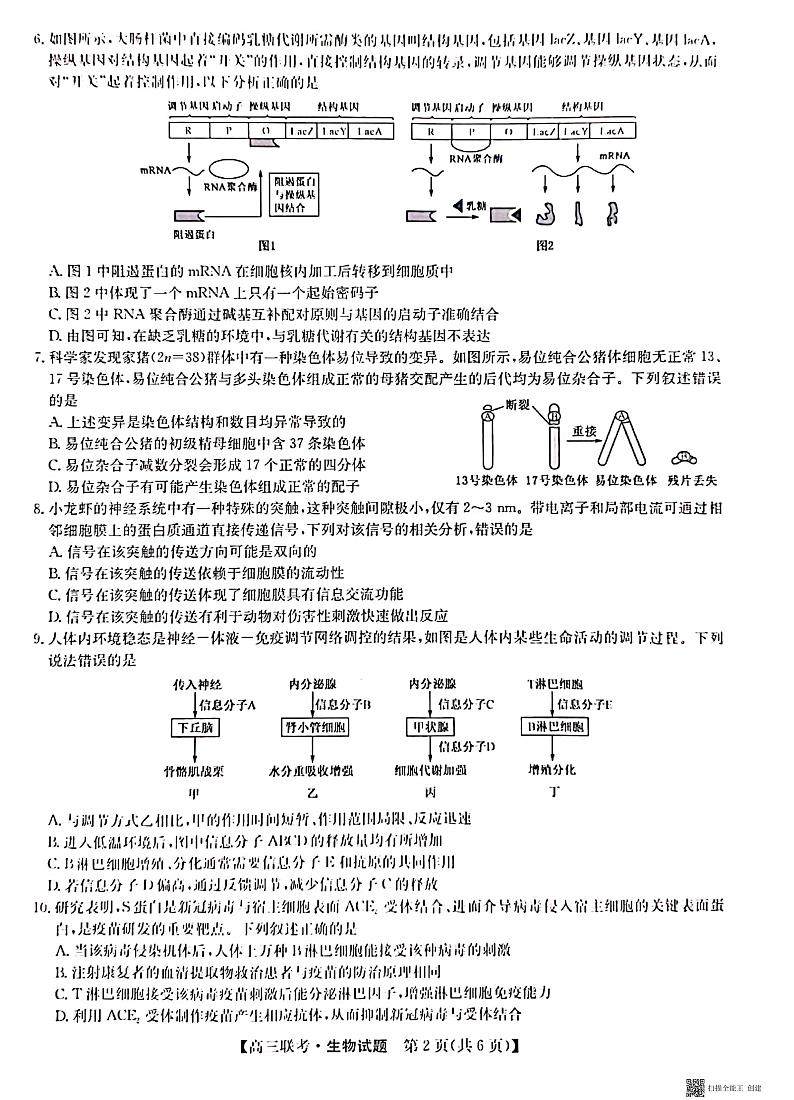 2021年山东省菏泽市高三第二次模拟考试生物卷及答案（图片版）02