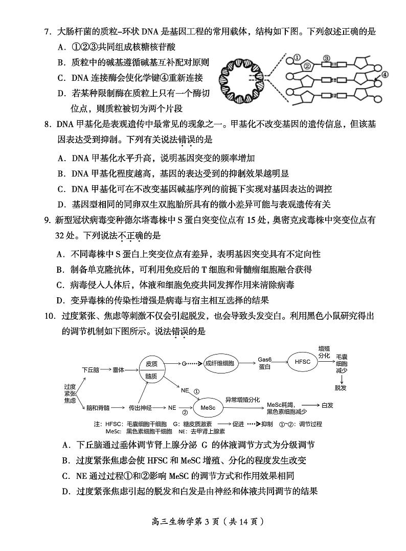 2022年北京市房山区高三二模生物试题含答案第3页