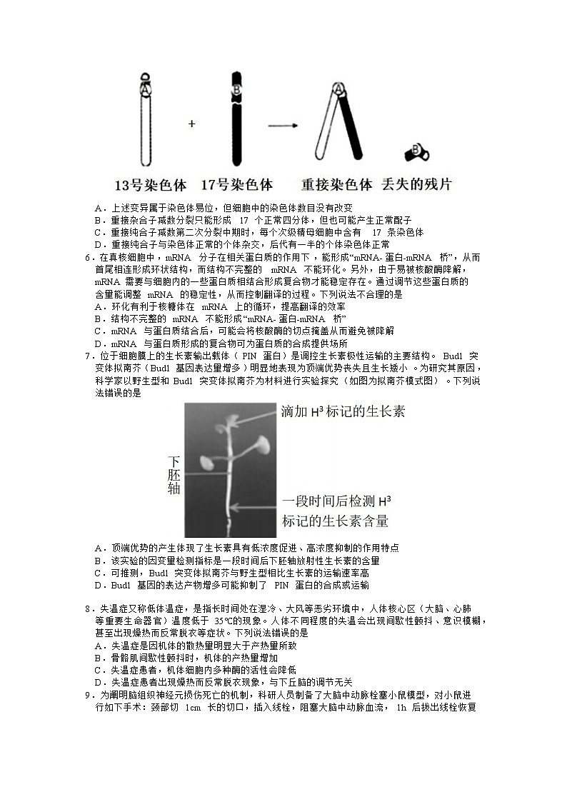 2022届山东省青岛市高三二模生物试题02