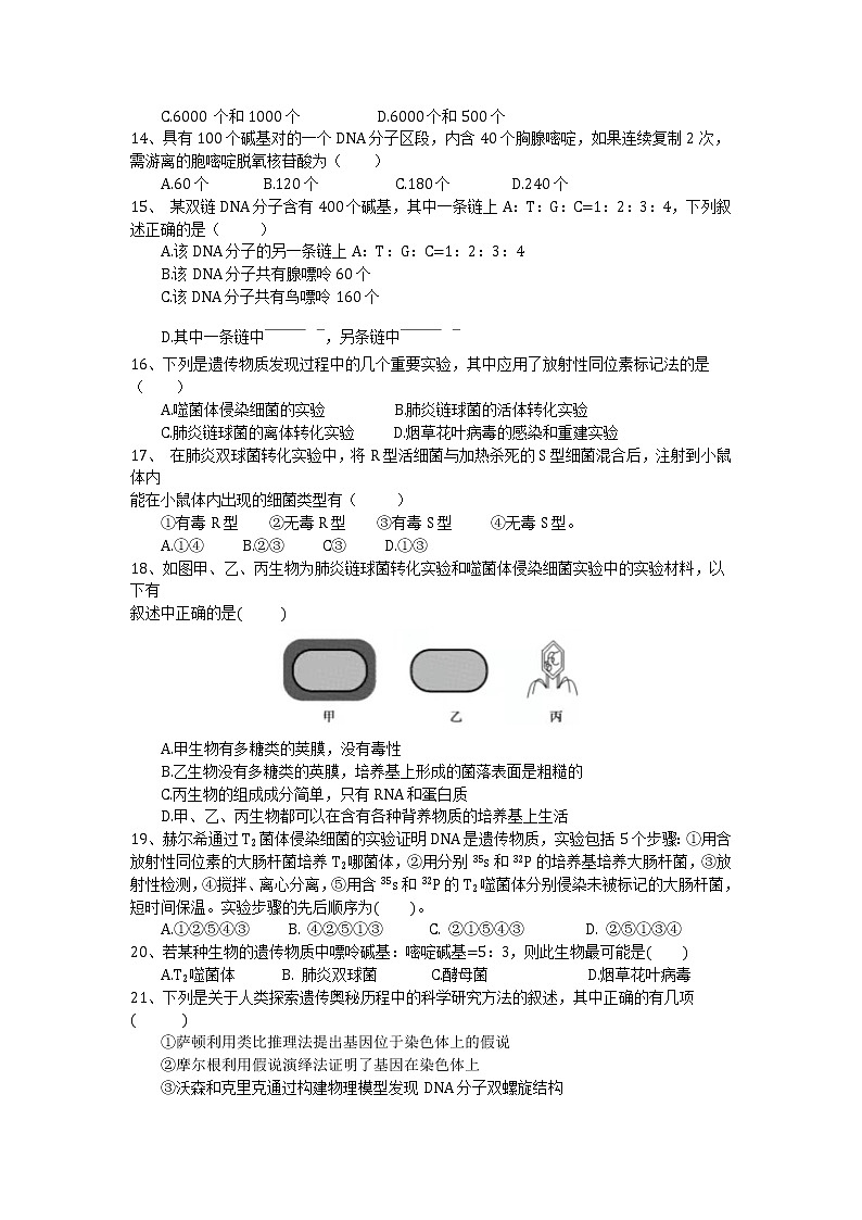 2021黑龙江省嫩江市高级中学高一上学期期中考试生物试题含答案第3页