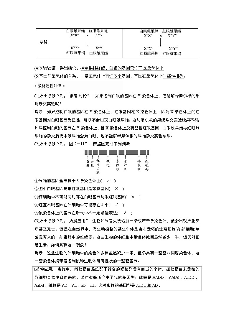 2023版步步高生物一轮复习讲义第五单元 第5课时　基因在染色体上的假说与证据第3页