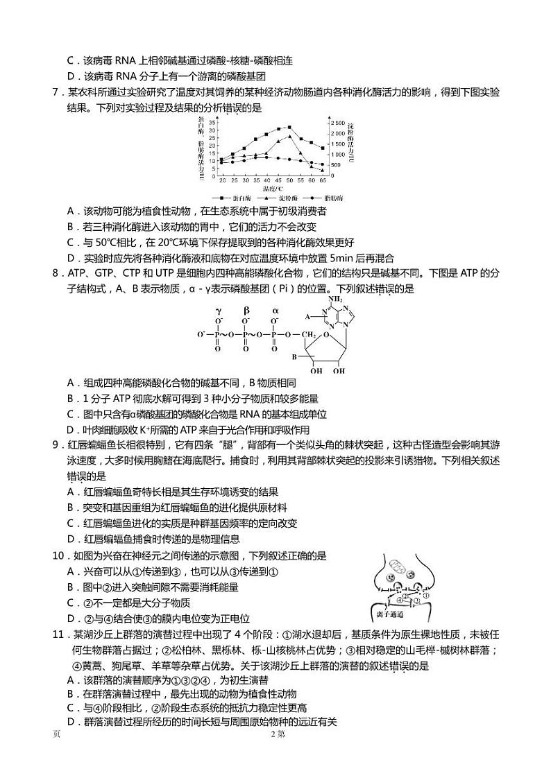 2021届福建省龙岩市高三下学期3月第一次教学质量检测生物试题 PDF版02