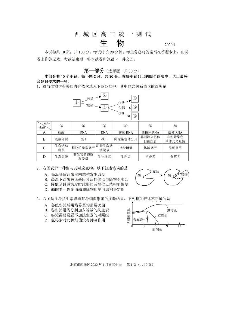 2020届北京市西城区高三下学期4月一模考试 生物 PDF版练习题第1页
