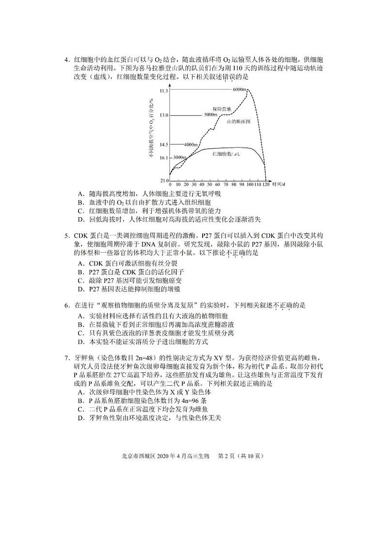 2020届北京市西城区高三下学期4月一模考试 生物 PDF版练习题第2页
