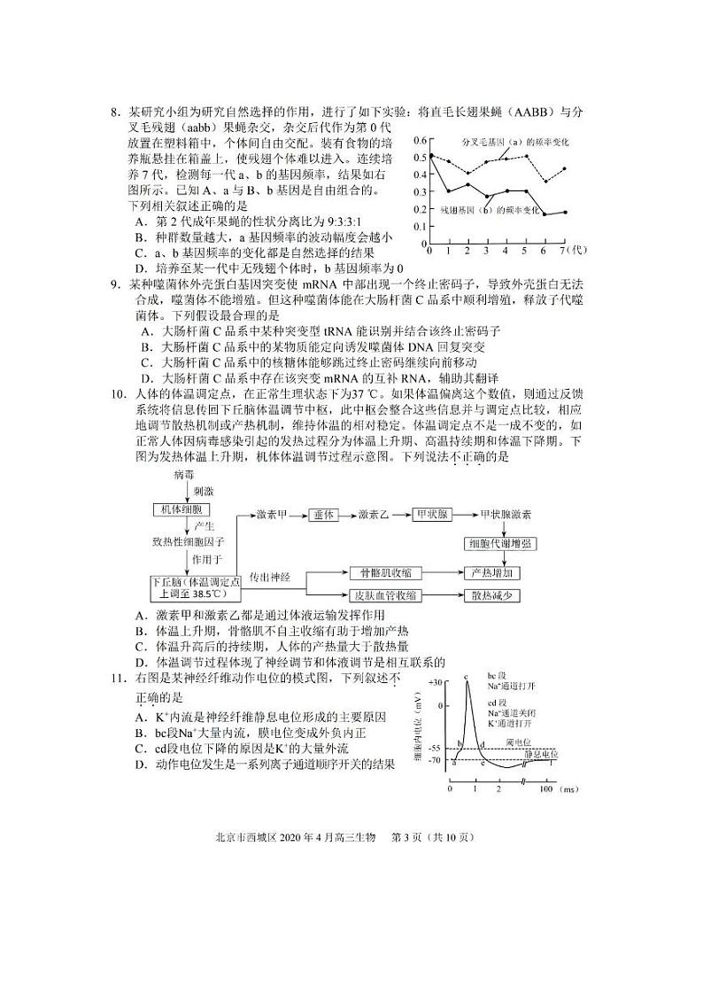 2020届北京市西城区高三下学期4月一模考试 生物 PDF版练习题第3页