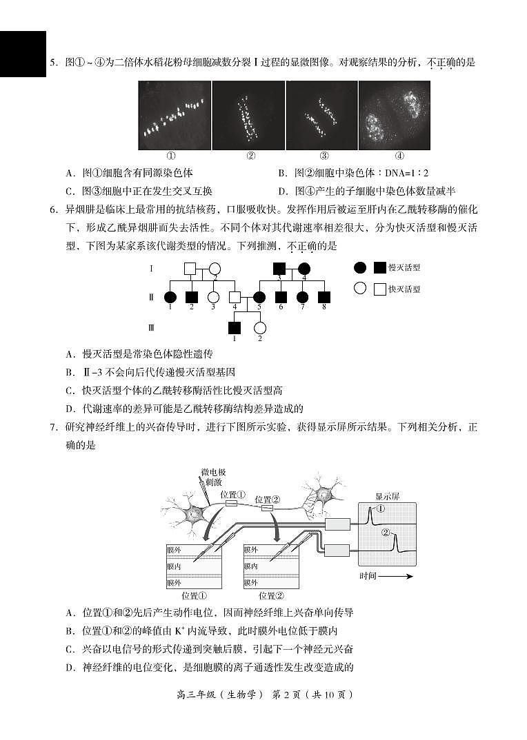 2022年北京市海淀区高三二模生物试题含答案02