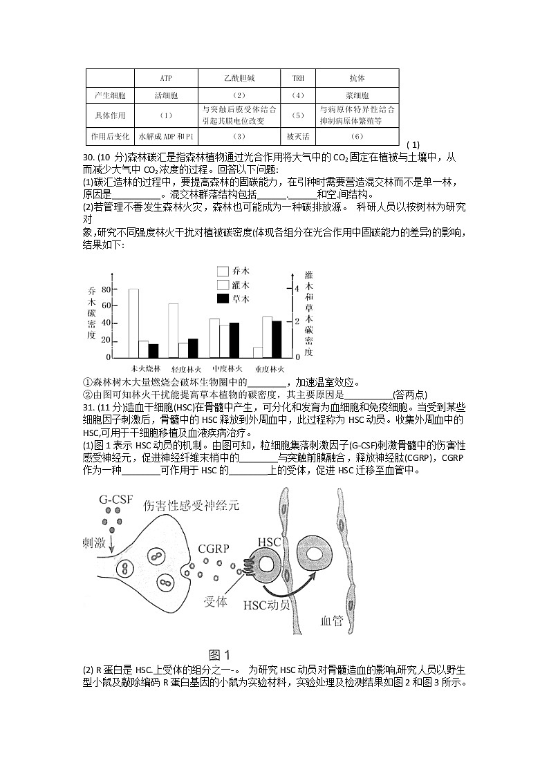 2022届黑龙江省哈尔滨市第三中学高三第二次模拟考试理科综合生物试题第2页