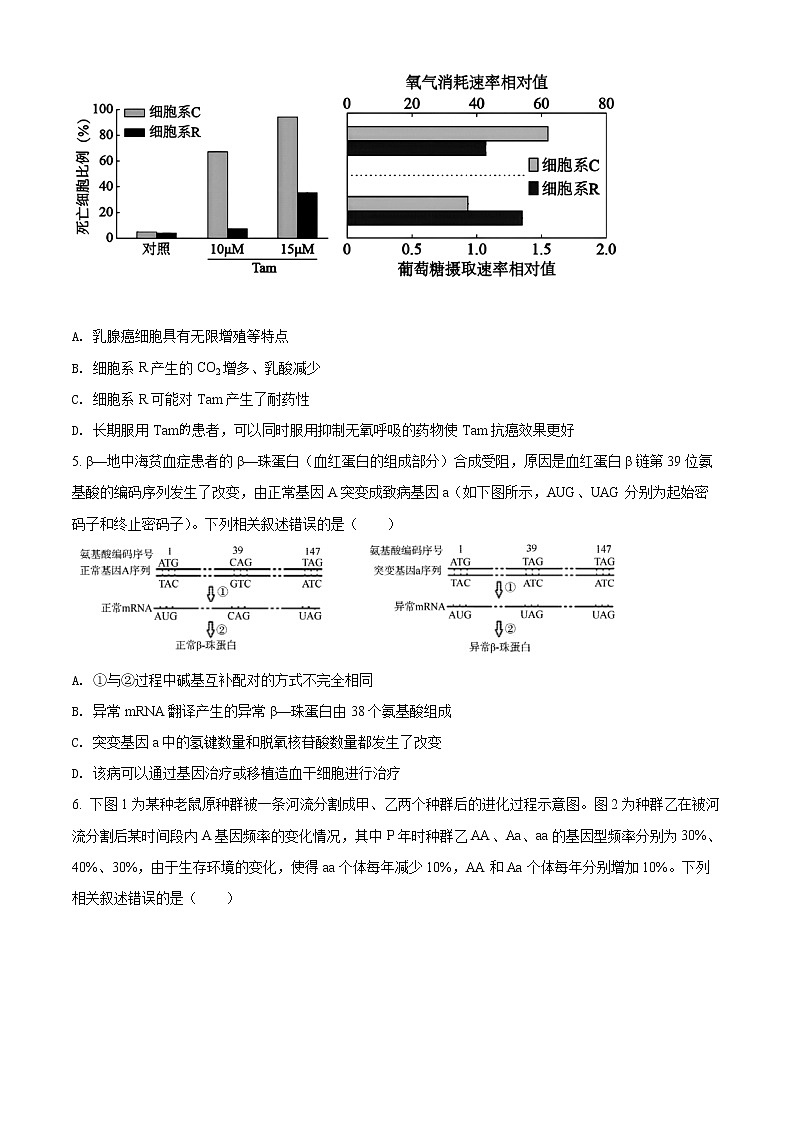 2022届江苏省南京市、盐城市高三二模生物试题02
