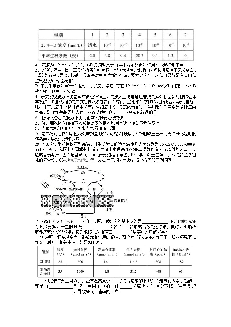 2022届黑龙江省哈尔滨市第九中学高三下学期第二次模拟考试理综生物试题02
