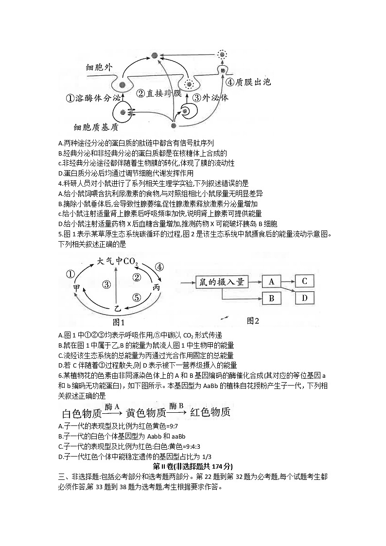 2022西安临潼区高三二模生物Word含答案第2页