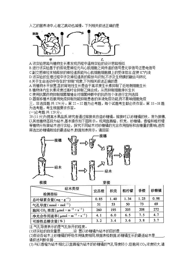 2022届河南省平顶山市许昌市济源市二模理综生物试题02