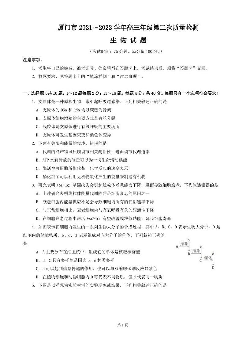 2022届福建省厦门市高三年级第二次质量检测（生物学）PDF版01