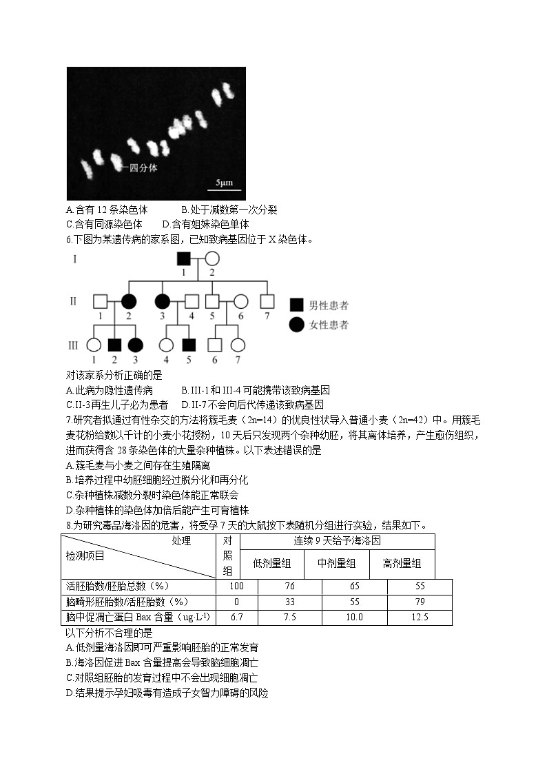 2021年新高考北京生物卷+答案第2页