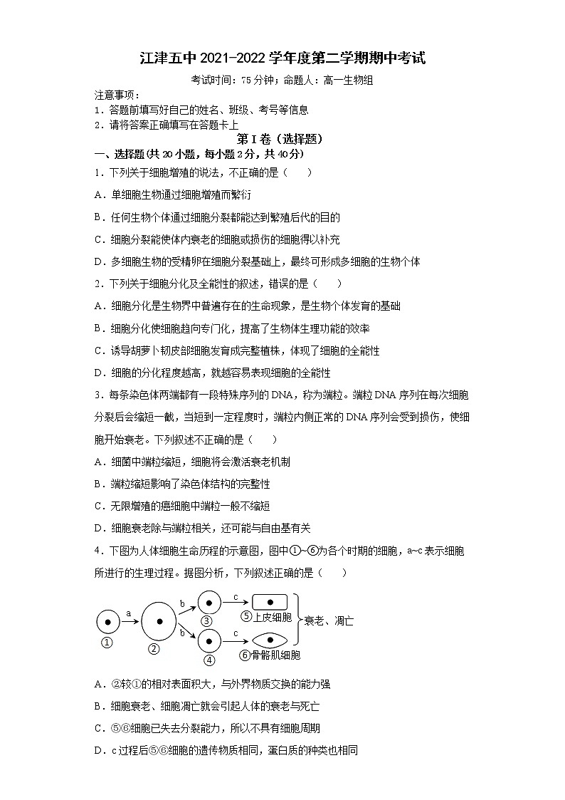 重庆市江津第五中学校2021-2022学年高一下学期半期考试生物试题（含答案）01