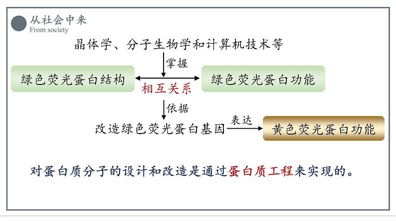 3.4蛋白质工程的原理和应用课件2021-2022学年高二下学期生物人教版选择性必修3第4页