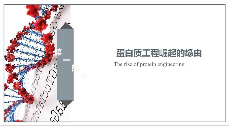 3.4蛋白质工程的原理和应用课件2021-2022学年高二下学期生物人教版选择性必修3第7页