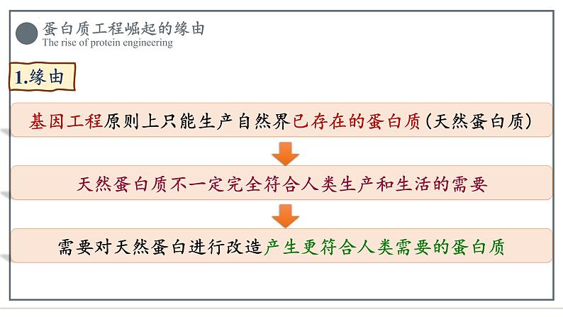 3.4蛋白质工程的原理和应用课件2021-2022学年高二下学期生物人教版选择性必修3第8页