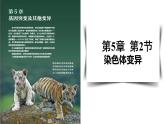 5.2染色体变异课件-2021-2022学年高一下学期生物人教版（2019）必修2