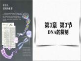 3.3DNA的复制课件-2021-2022学年高一下学期生物人教版（2019）必修2