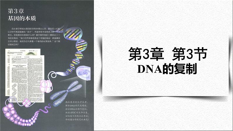 3.3DNA的复制课件-2021-2022学年高一下学期生物人教版（2019）必修2第1页