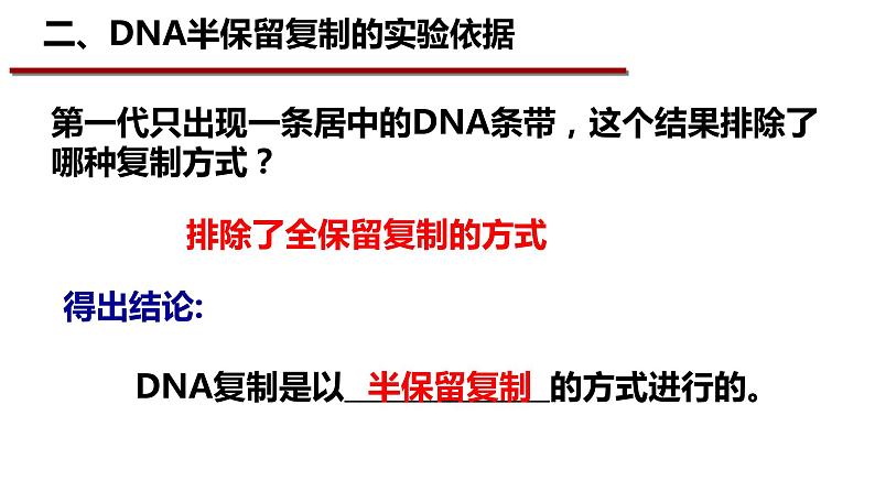 3.3DNA的复制课件-2021-2022学年高一下学期生物人教版（2019）必修2第7页