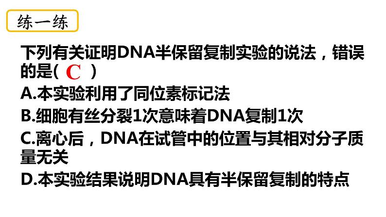 3.3DNA的复制课件-2021-2022学年高一下学期生物人教版（2019）必修2第8页