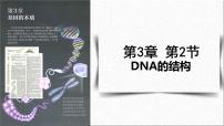 生物必修2《遗传与进化》第2节 DNA的结构教课课件ppt