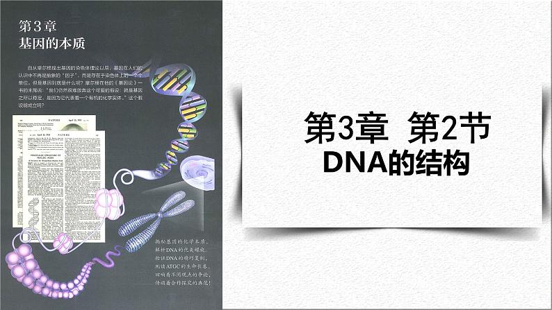 3.2DNA的结构课件-2021-2022学年高一下学期生物人教版（2019）必修2第1页