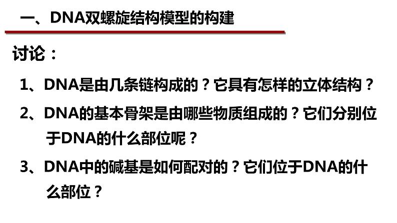 3.2DNA的结构课件-2021-2022学年高一下学期生物人教版（2019）必修2第3页