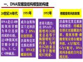 3.2DNA的结构课件-2021-2022学年高一下学期生物人教版（2019）必修2