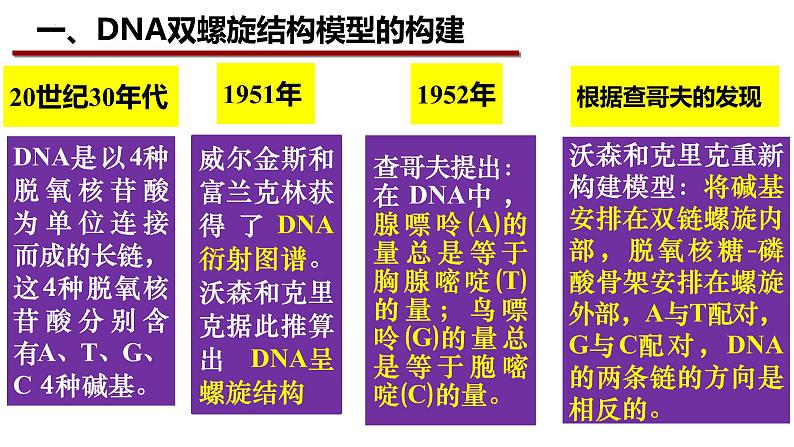 3.2DNA的结构课件-2021-2022学年高一下学期生物人教版（2019）必修2第4页