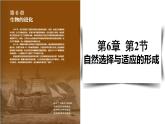 6.2自然选择与适应的形成课件-2021-2022学年高一下学期生物人教版（2019）必修2