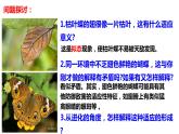 6.2自然选择与适应的形成课件-2021-2022学年高一下学期生物人教版（2019）必修2