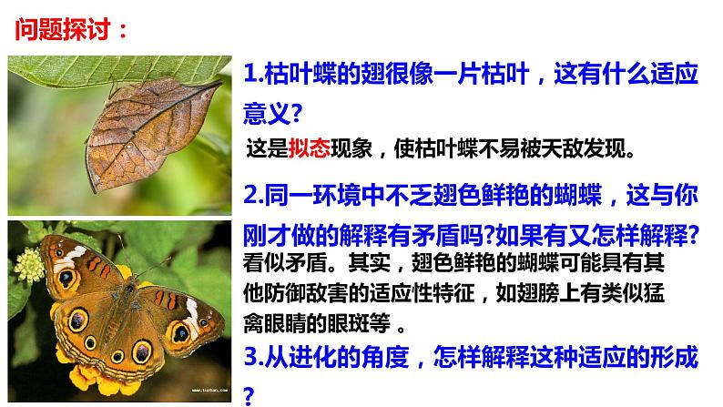 6.2自然选择与适应的形成课件-2021-2022学年高一下学期生物人教版（2019）必修2第2页