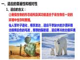 6.2自然选择与适应的形成课件-2021-2022学年高一下学期生物人教版（2019）必修2