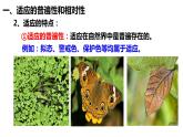 6.2自然选择与适应的形成课件-2021-2022学年高一下学期生物人教版（2019）必修2