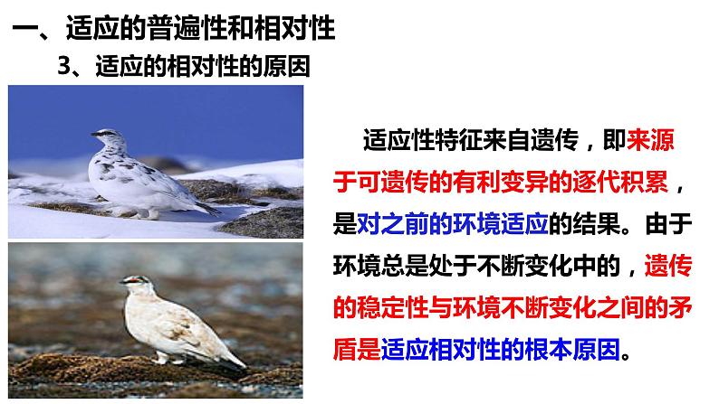 6.2自然选择与适应的形成课件-2021-2022学年高一下学期生物人教版（2019）必修2第7页