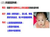 5.3人类遗传病课件-2021-2022学年高一下学期生物人教版（2019）必修2