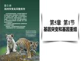 5.1基因突变和基因重组课件-2021-2022学年高一下学期生物人教版（2019）必修2