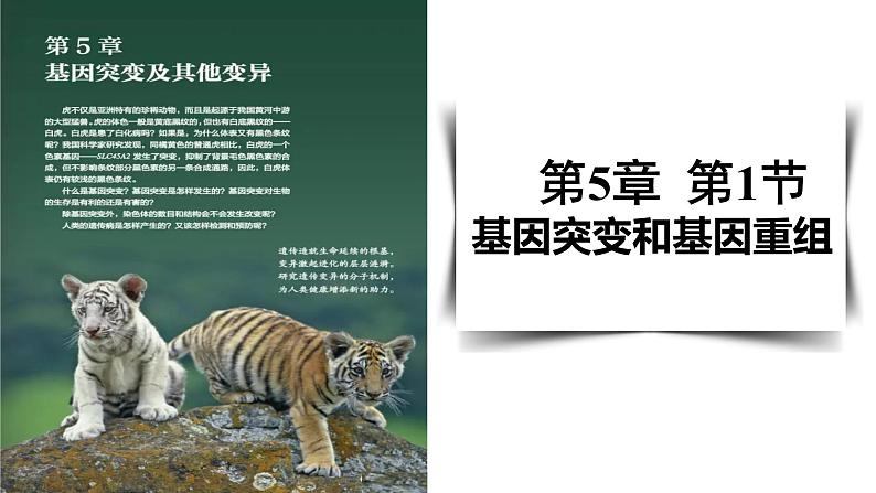 5.1基因突变和基因重组课件-2021-2022学年高一下学期生物人教版（2019）必修2第1页