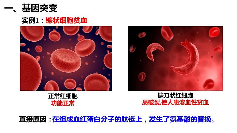 5.1基因突变和基因重组课件-2021-2022学年高一下学期生物人教版（2019）必修2第3页