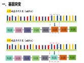 5.1基因突变和基因重组课件-2021-2022学年高一下学期生物人教版（2019）必修2