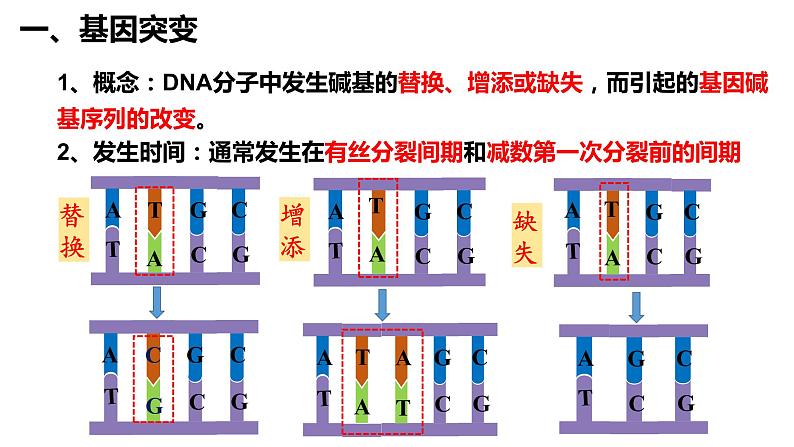 5.1基因突变和基因重组课件-2021-2022学年高一下学期生物人教版（2019）必修2第6页